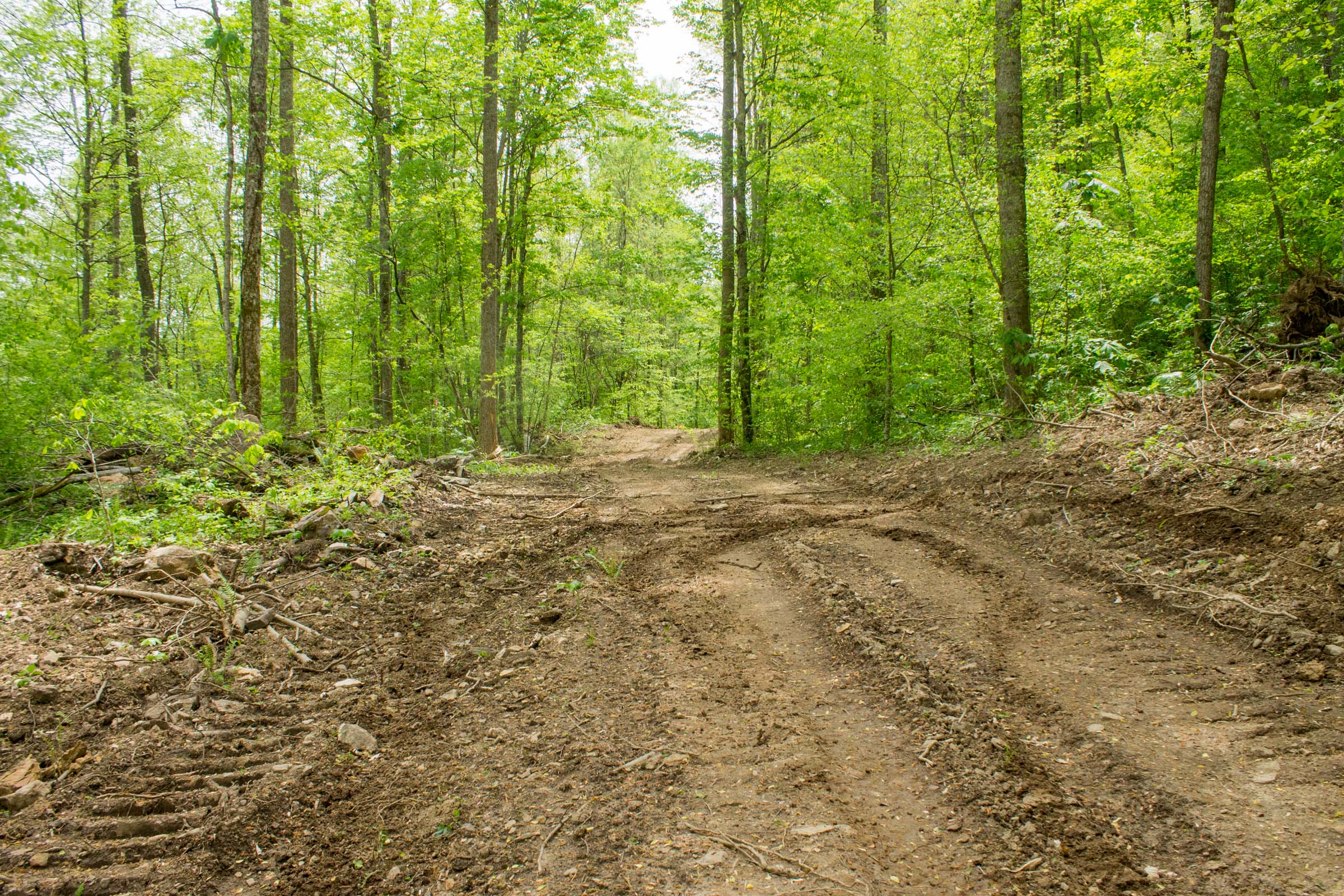 Tract 17 at Trails End in Rockcastle County, Kentucky