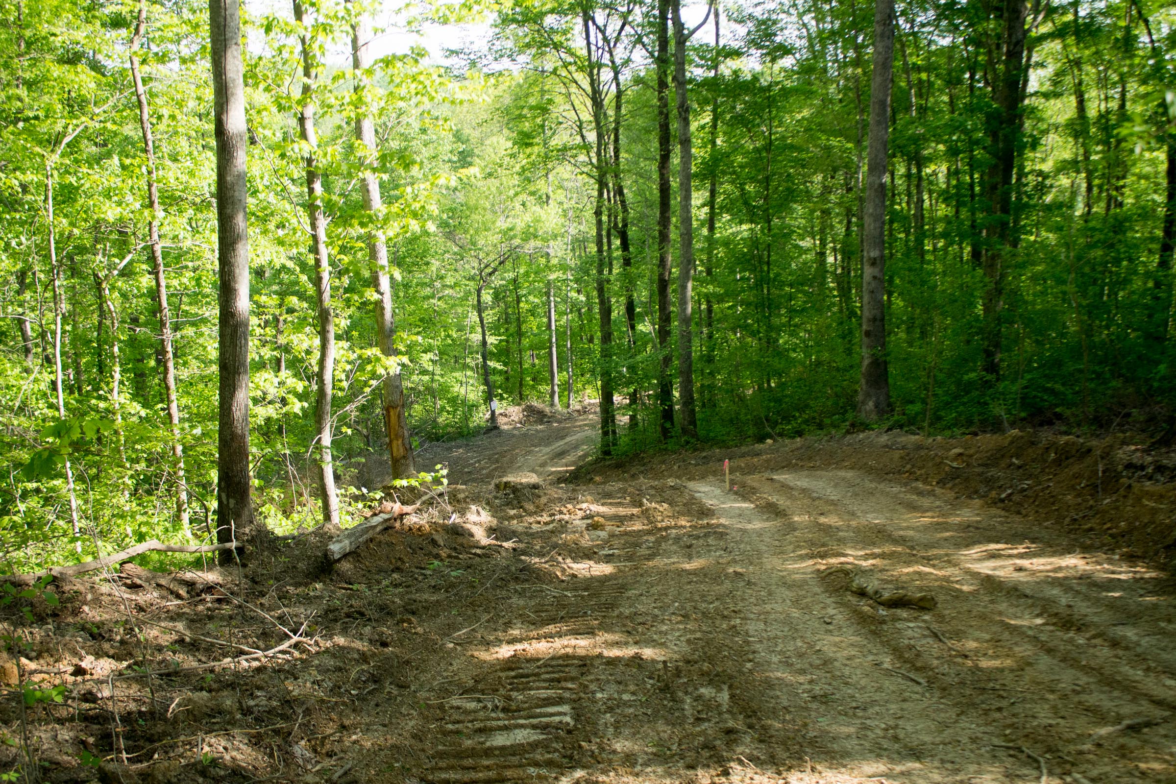 Tract 19 at Trails End in Rockcastle County, Kentucky