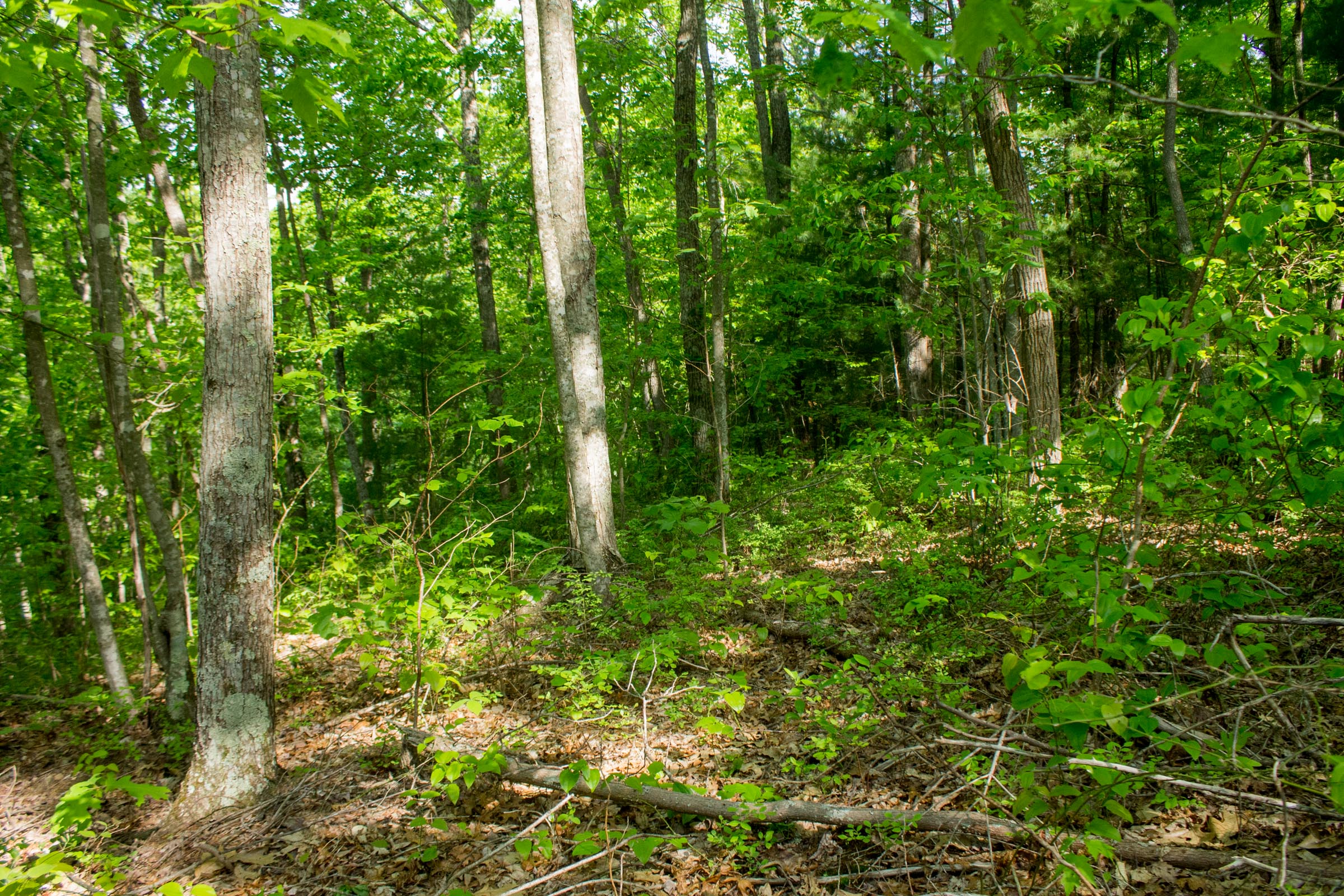 Tract 5 at Trails End in Rockcastle County, Kentucky